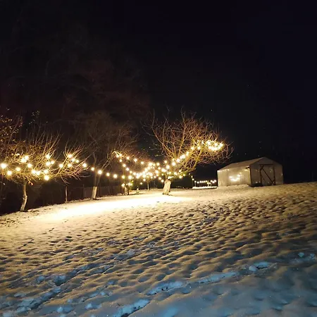 Sosnowa 61 *