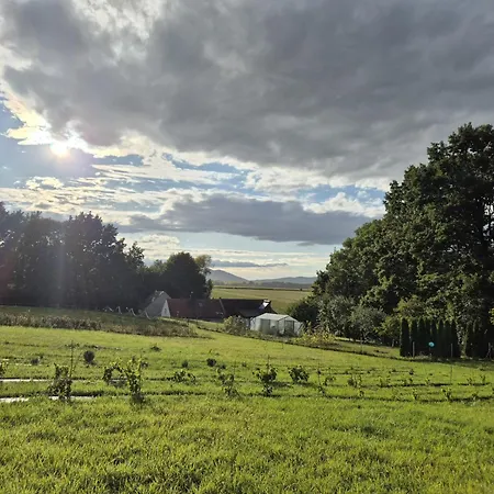 Sosnowa 61 Dom wakacyjny *