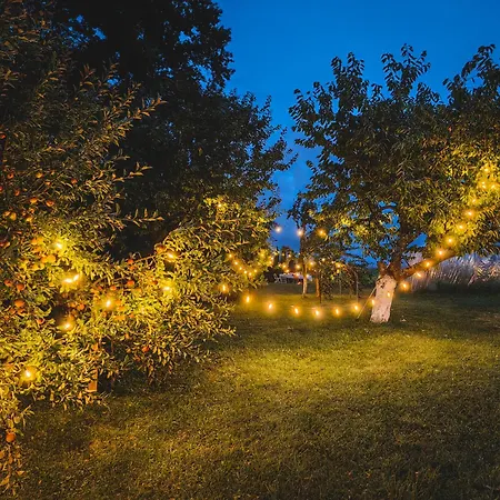 Dom wakacyjny Sosnowa 61 Sasnowa