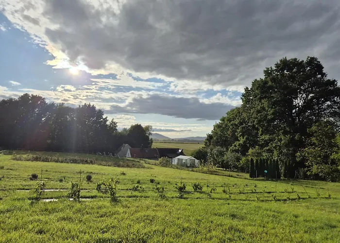 Sosnowa 61 Dom wakacyjny *