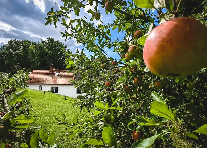 Sosnowa 61 * Sasnowa