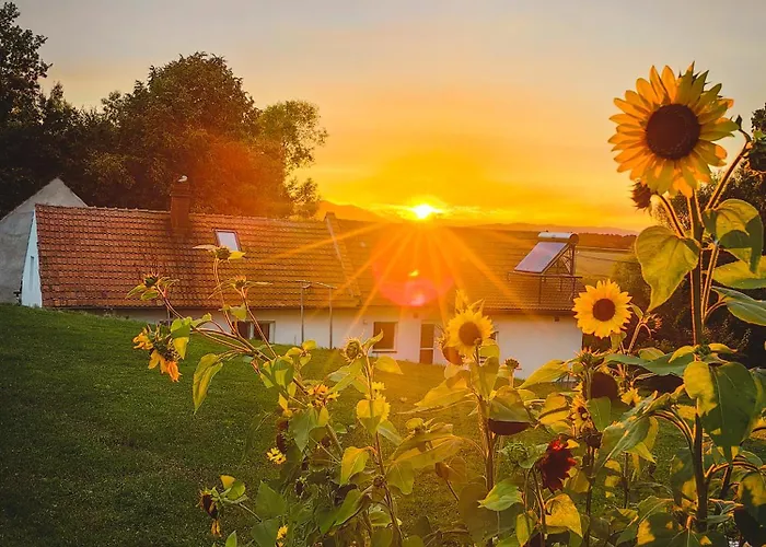 Sosnowa 61 * Sasnowa