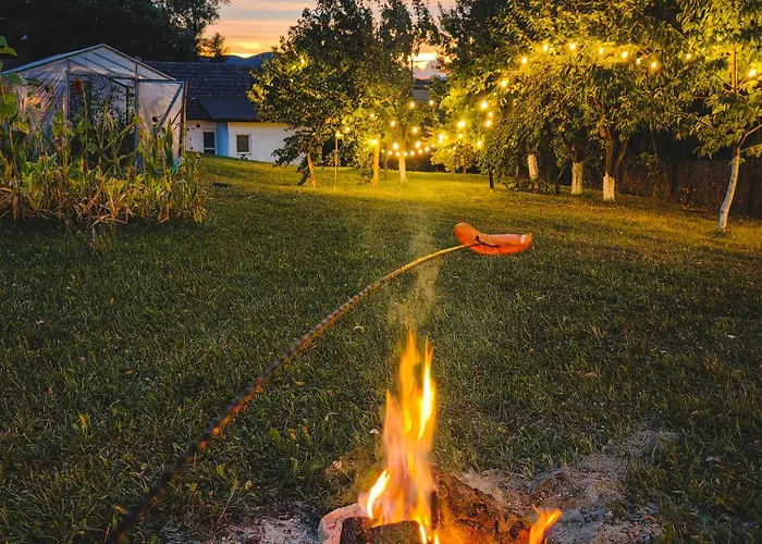 Dom wakacyjny Sosnowa 61 *