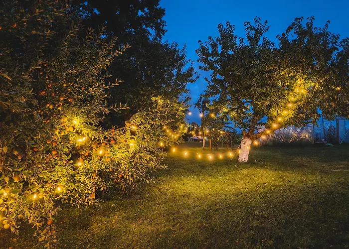 Dom wakacyjny Sosnowa 61 Sasnowa