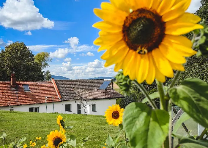 Holiday home Sosnowa 61